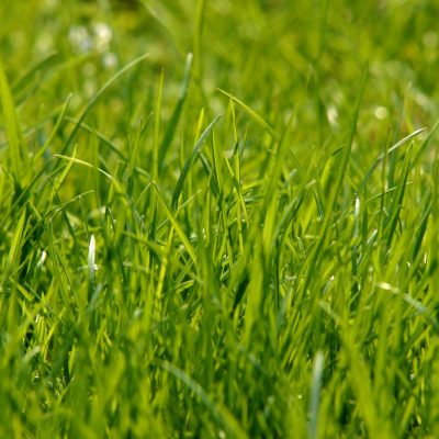 LOTE 8: 100% de pleno dominio de Finca Rústica, situada en Partida Les Solaes de Vila-Real - FR nº 46.610 - RPROP. nº 1 de Vila-Real